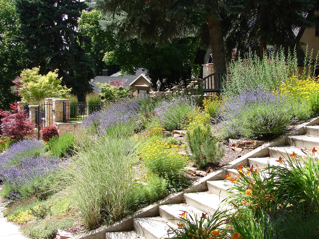 nursery landscape
